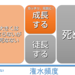 水やり