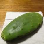 サボテン挿し木