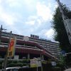 関東カクタス専門家連盟主催「サボテンと多肉植物の即売会」に行ってきたぞ!