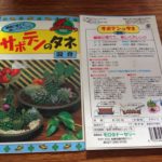 謎のサボテンの種を蒔いたぞ!22ヶ月後
