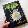 読んでおきたいサボテンの本「The New Cactus Lexicon」